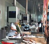 balanças marques mercado bolhão sitegjpm